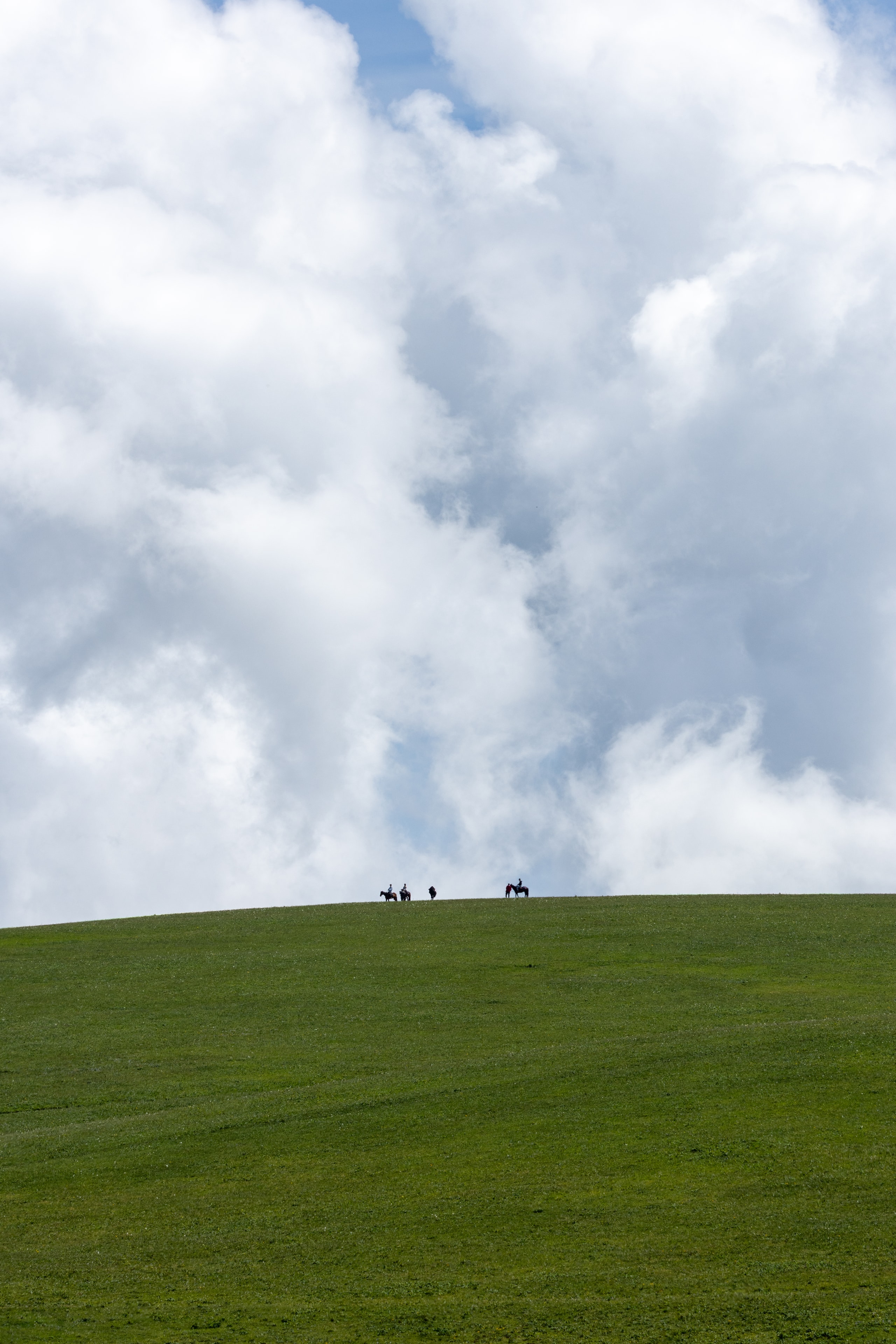 Riders on the Hill