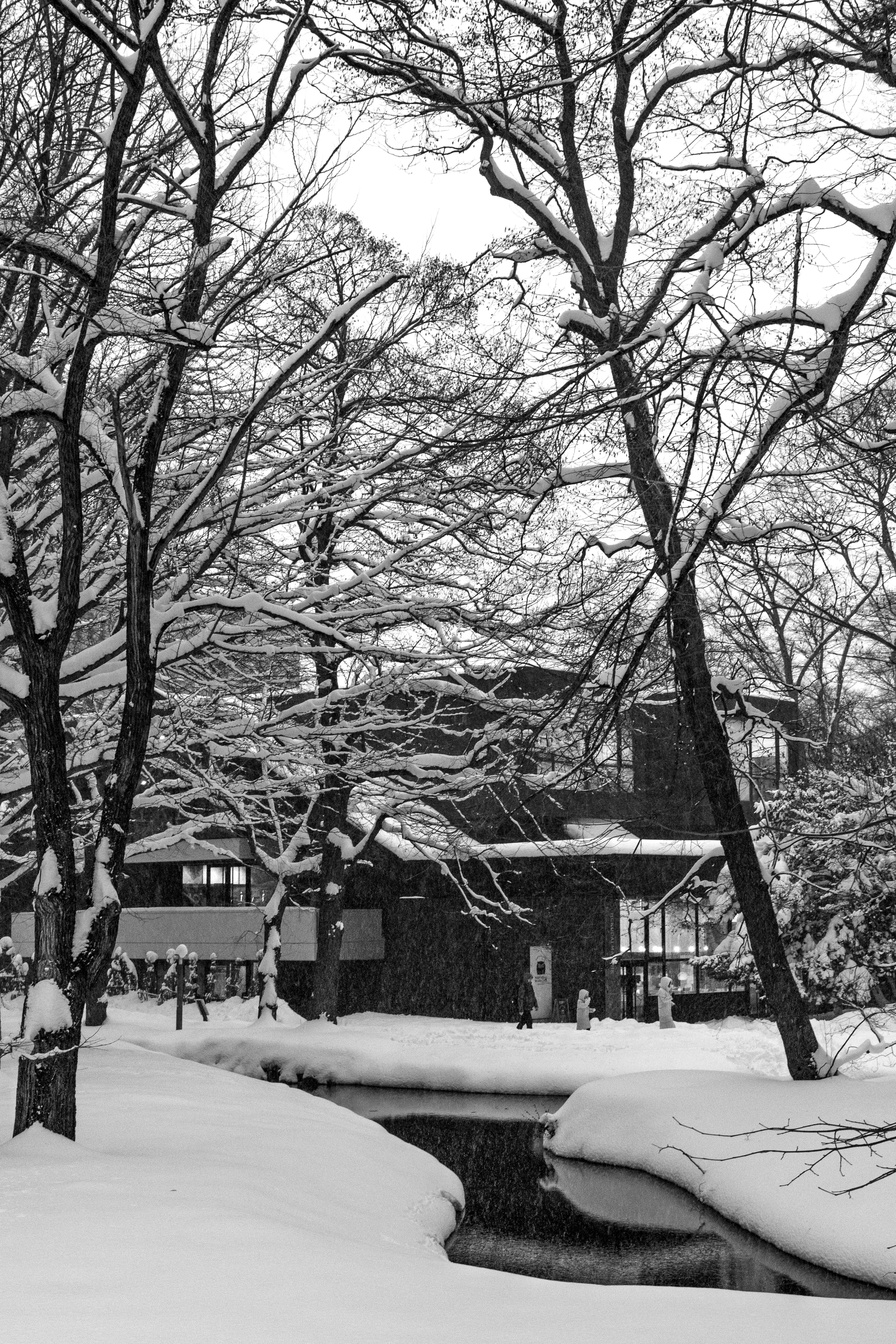 Snow Park